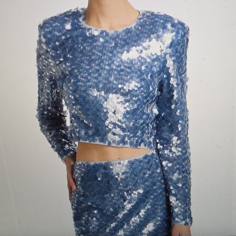 TOCCIN Anaya Sequined Long Sleeve Top Size 6 $425